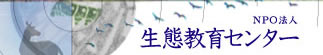 タイトル